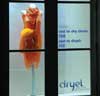Store windows at participating retailers compare the cost of dry cleaning the featured garments to the cost of Dryel.